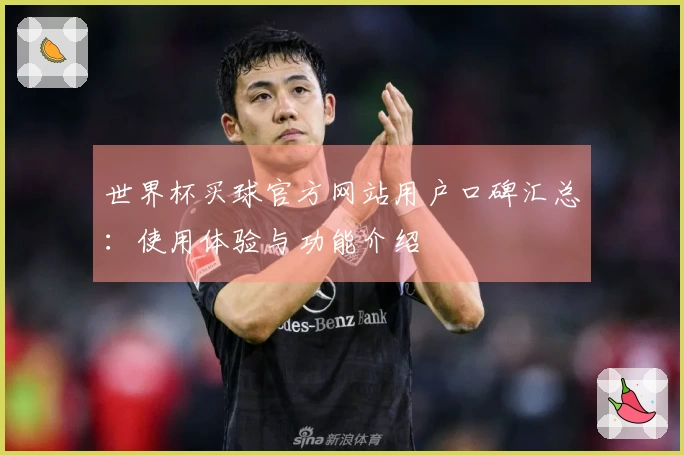 世界杯买球官方网站用户口碑汇总：使用体验与功能介绍