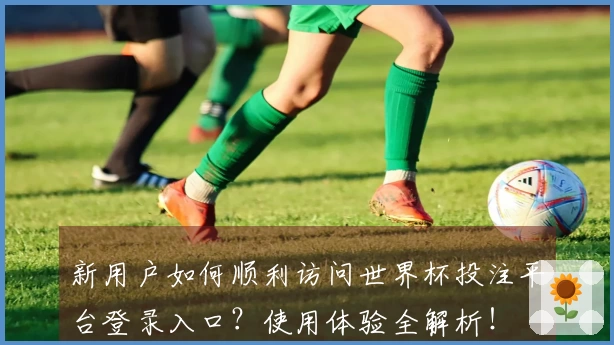 新用户如何顺利访问世界杯投注平台登录入口？使用体验全解析！