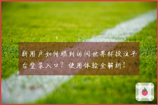 新用户如何顺利访问世界杯投注平台登录入口？使用体验全解析！