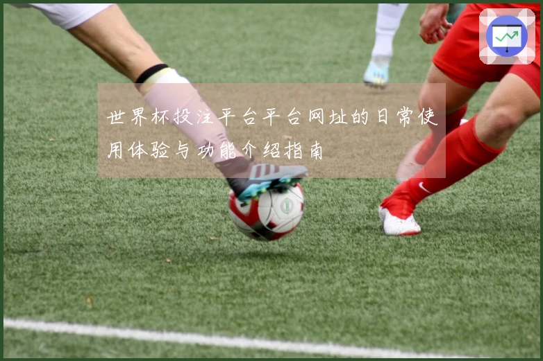 世界杯投注平台平台网址的日常使用体验与功能介绍指南