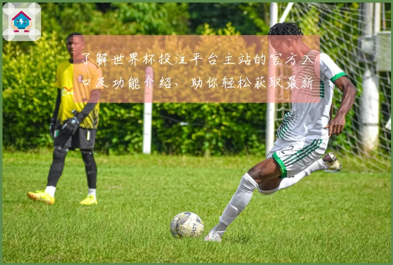 了解世界杯投注平台主站的官方入口及功能介绍，助你轻松获取最新赛事信息